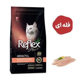 غذا خشک گربه بالغ رفلکس پلاس مدل Hairball and Indoor(بسته بندی پتشاپ115)