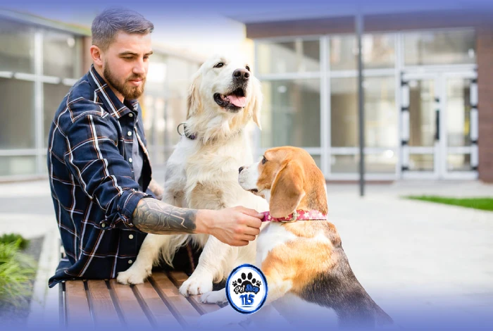 ناآرامی سگ قبل از دریافت تشویقی