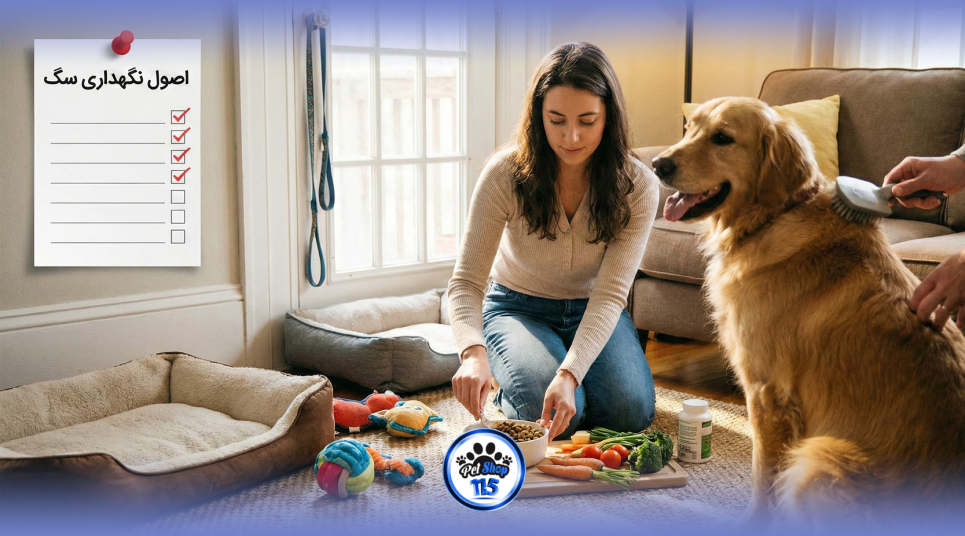 اصول نگهداری سگ: از تغذیه تا مراقبت روزانه