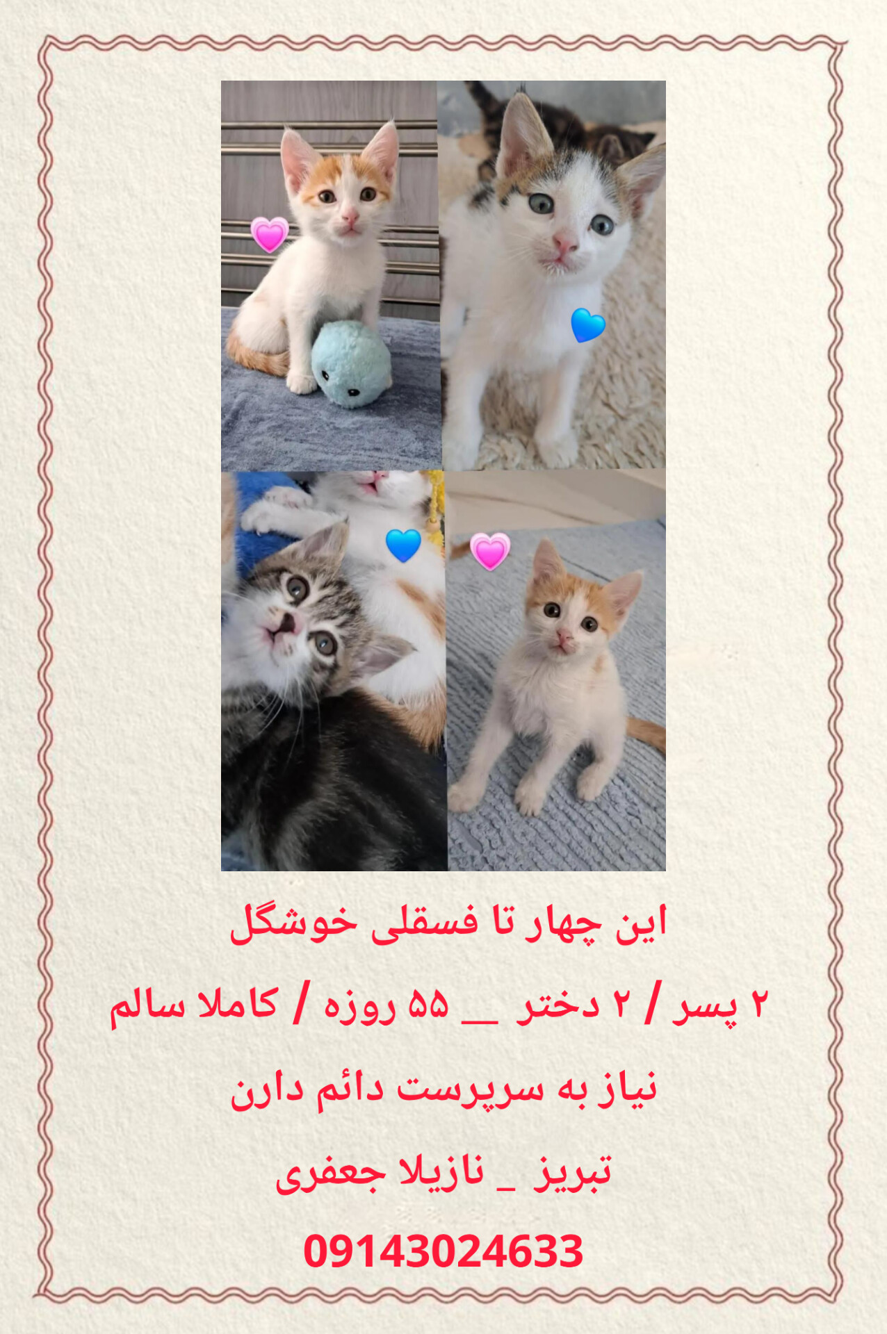 تصویر حیوان
