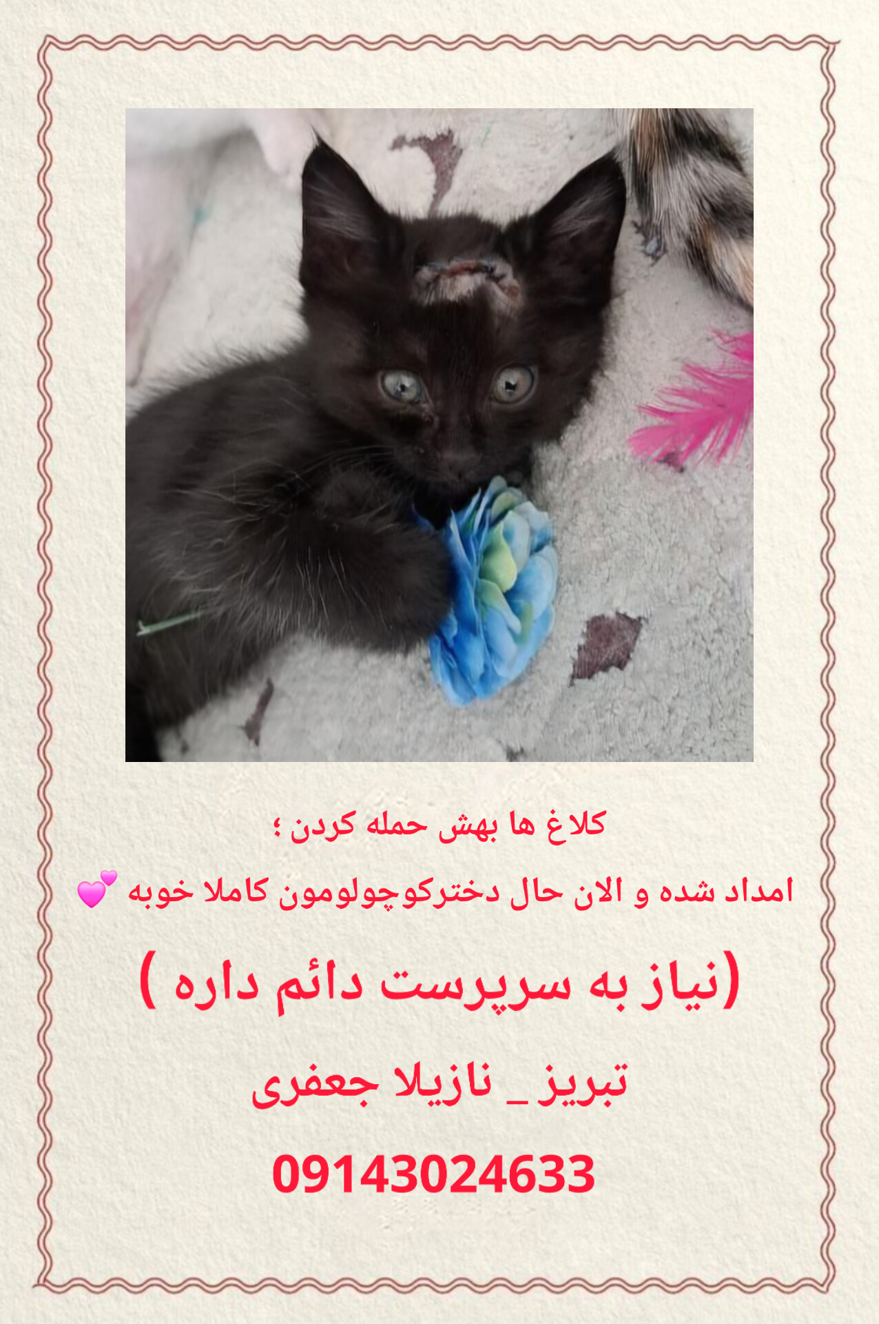 تصویر حیوان