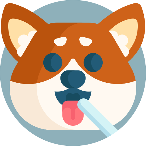 دهان ودندان و بدن سگ