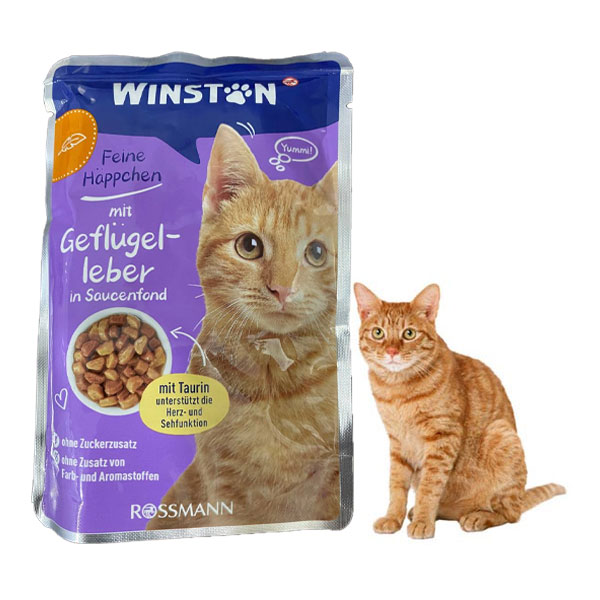 پوچ گربه وینستون طعم جگر پرنده در سس