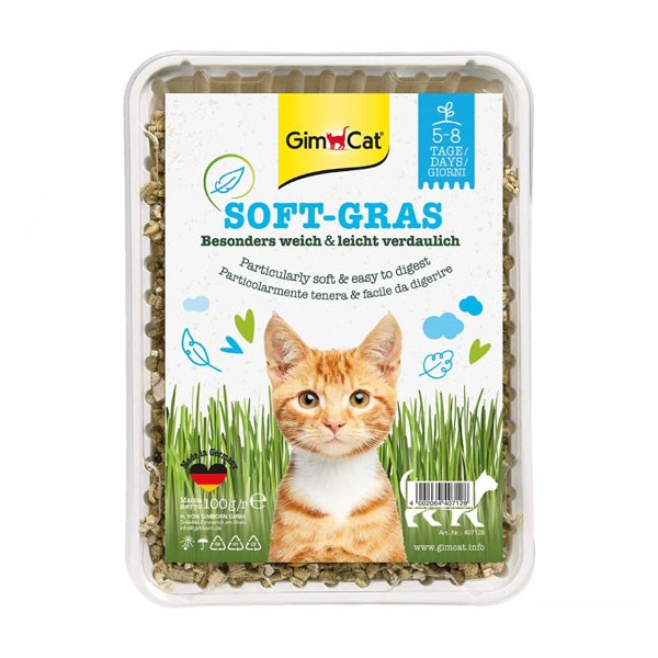 علف خوراکی گربه جیم کت غنی شده با ویتامین مدل Soft Gras