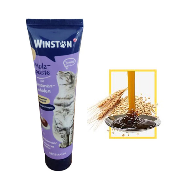 خمیر مالت گربه وینستون