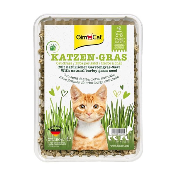 علف خوراکی گربه جیم کت با رایحه علفزار تازه مدل Katzen Gras
