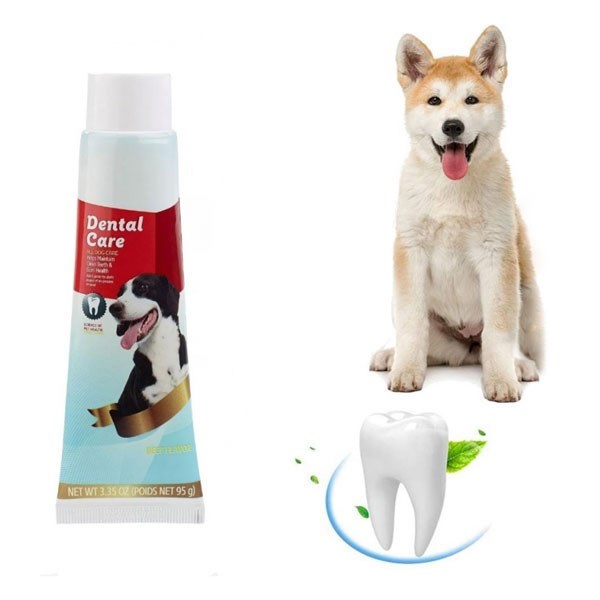 خمیر دندان سگ دنتال کر طعم گوشت