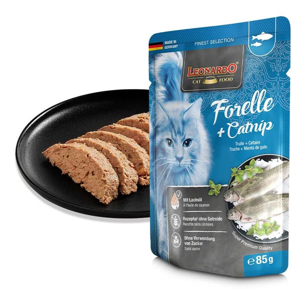 پوچ گربه لئوناردو با طعم ماهی قزل آلا و کت نیپ