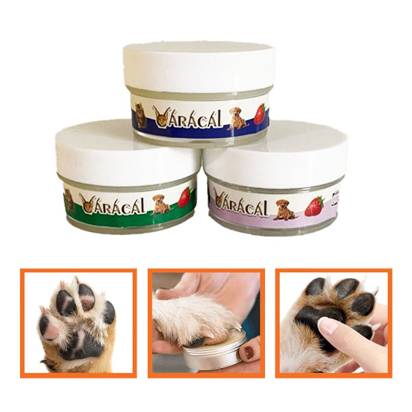 بالم پنجه سگ و گربه کاراکال