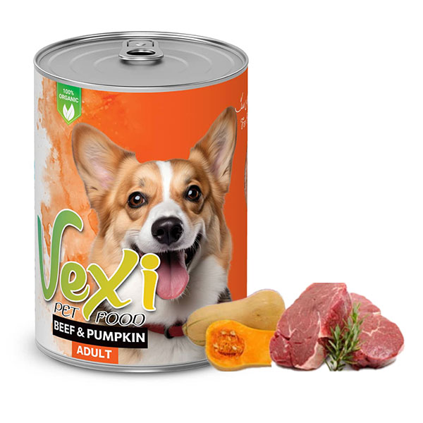 کنسرو پته ای سگ طعم گوشت بره و کدو تنبل وکسی