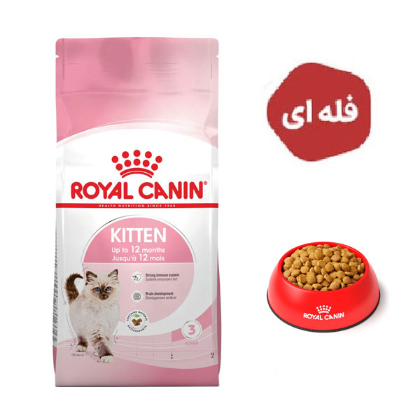 غذا خشک گربه مدل کیتن رویال کنین