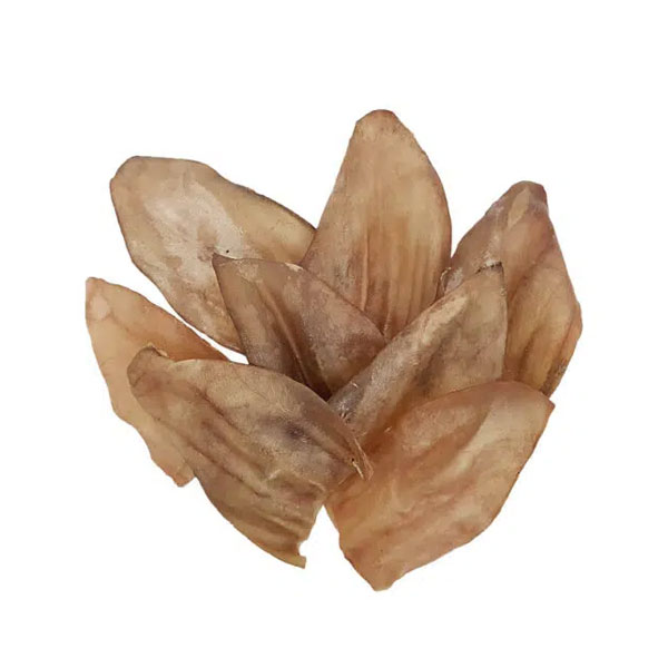 تشویقی طبیعی گوش بره