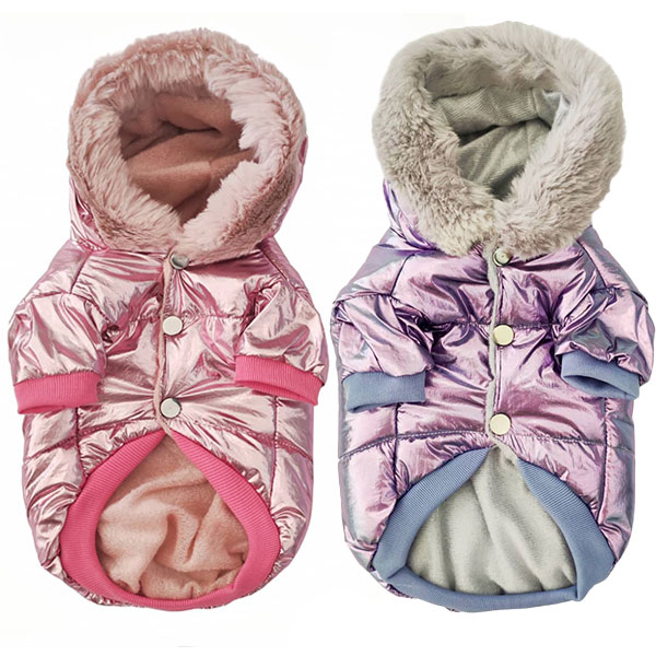 کاپشن  فضایی سگ و گربه