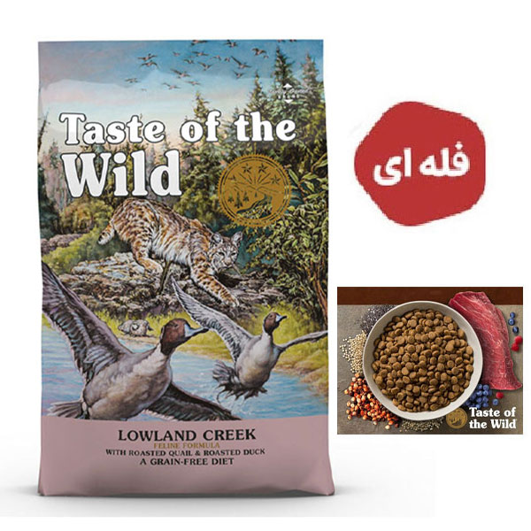 غذای خشک گربه تیست آف د وایلد طعم بلدرچین و اردک