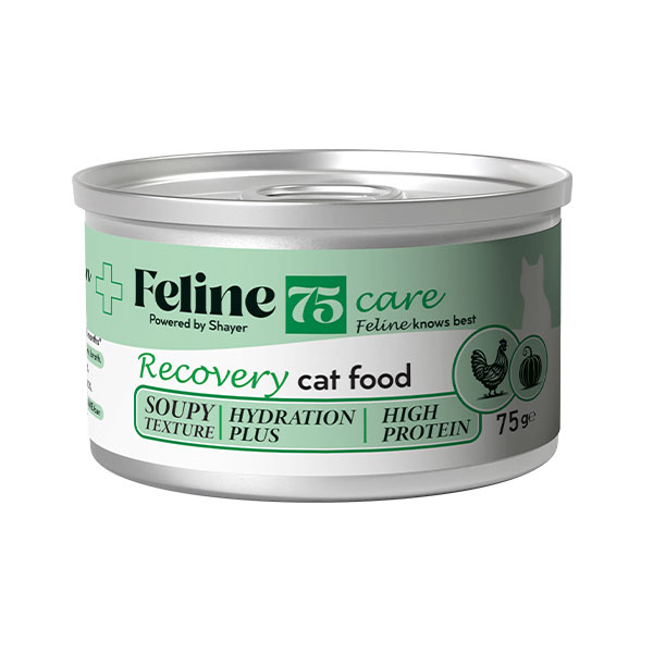 کنسرو سوپ ریکاوری گربه فیلاین طعم مرغ و کدو حلوایی