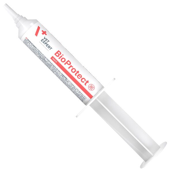 خمیر مشکلات گوارشی سگ و گربه BioProtect وت اکسپرت
