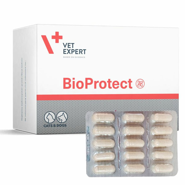 کپسول پروبیوتیک و مشکلات گوارشی سگ و گربه BioProtect وت اکسپرت